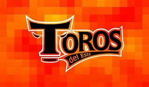 Toros del Este