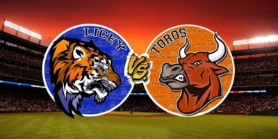 TIGRES Y TOROS