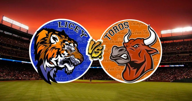 TIGRES Y TOROS